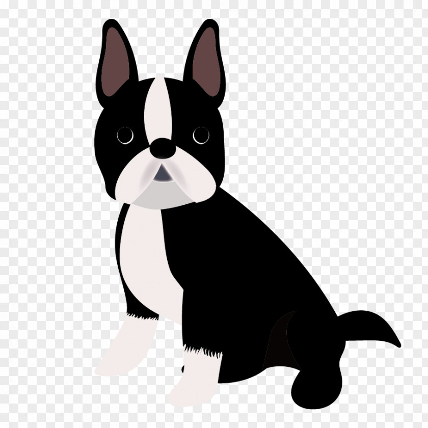 Puppy Boston Terrier Dog Breed Companion French Bulldog PNG