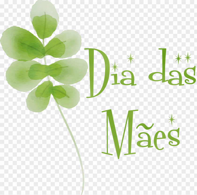 Shamrock PNG