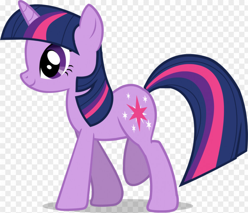 Twilight Sparkle Pony Applejack Pinkie Pie Rainbow Dash PNG
