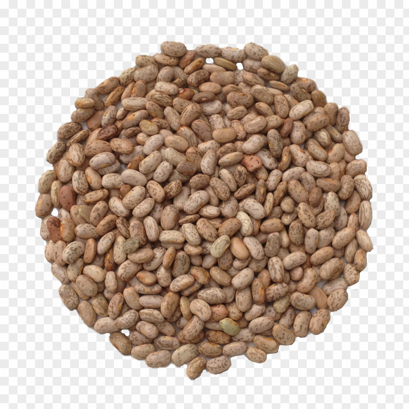 White Rose Refried Beans Common Bean Seed Nut Soybean PNG