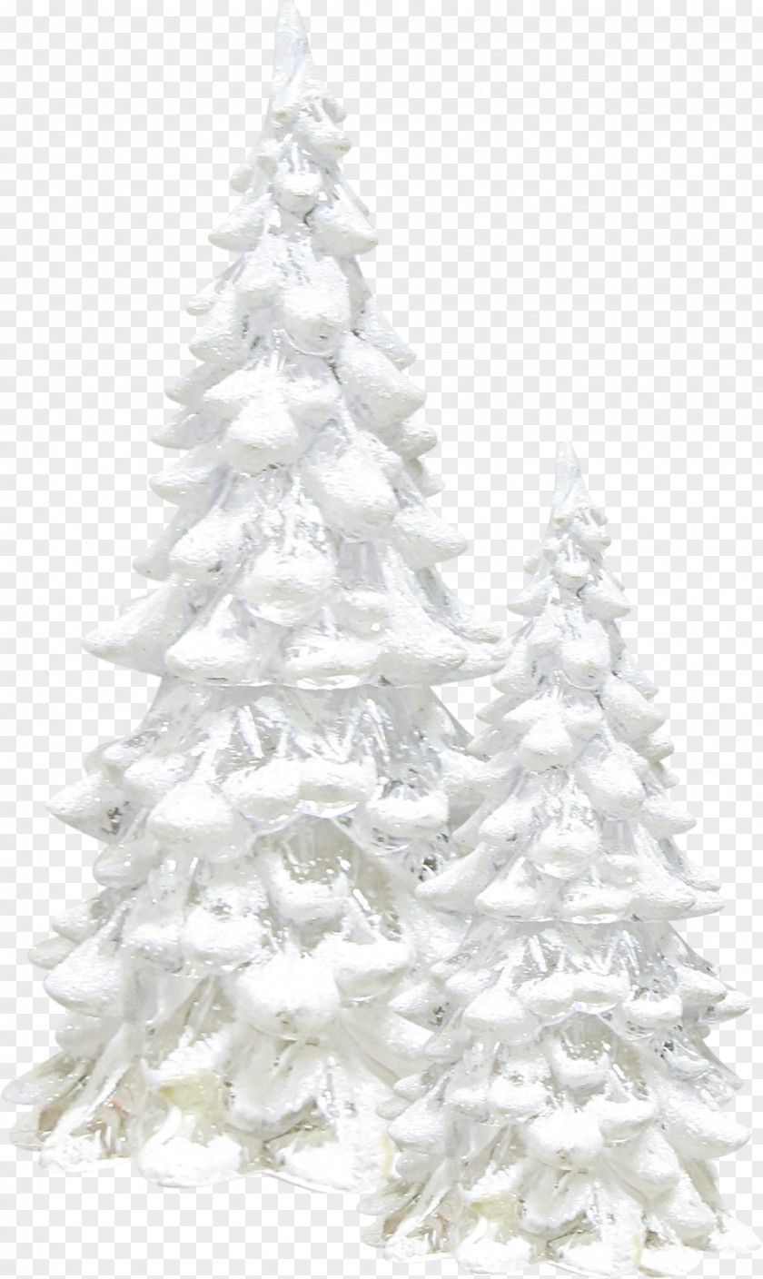 White Snow Tree Winter Pine PNG