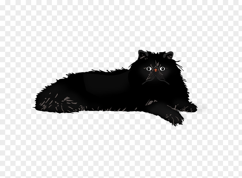 Cat Whiskers Dog Fur Canidae PNG