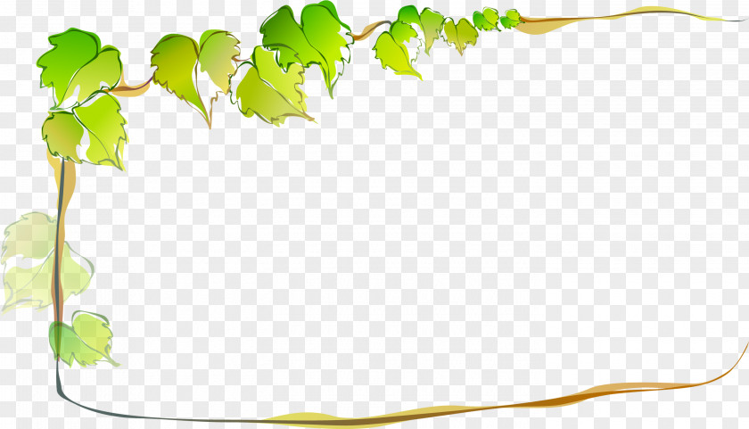 Leaves Border Vine Vector Graphics Image Download Clip Art PNG