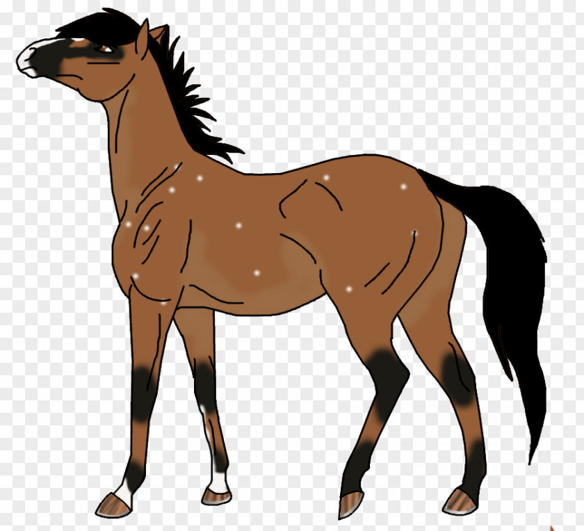 Mustang Pony Foal Mare Stallion PNG