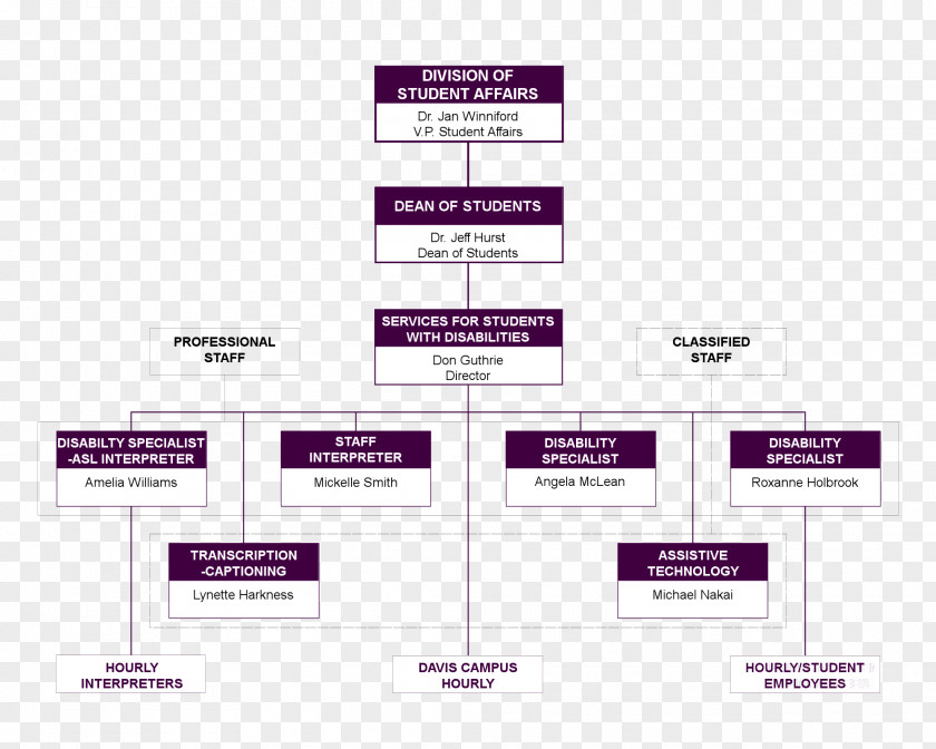 Organization Chart Organizational Structure Diagram PNG