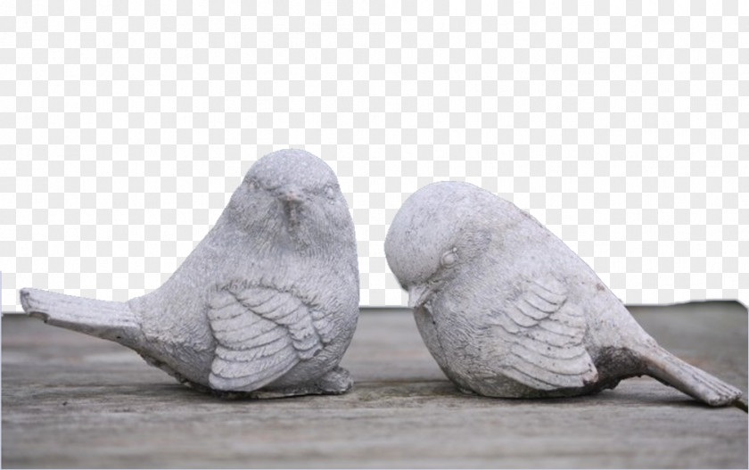 Rock Pigeon Bird Columbidae Dove Sculpture PNG