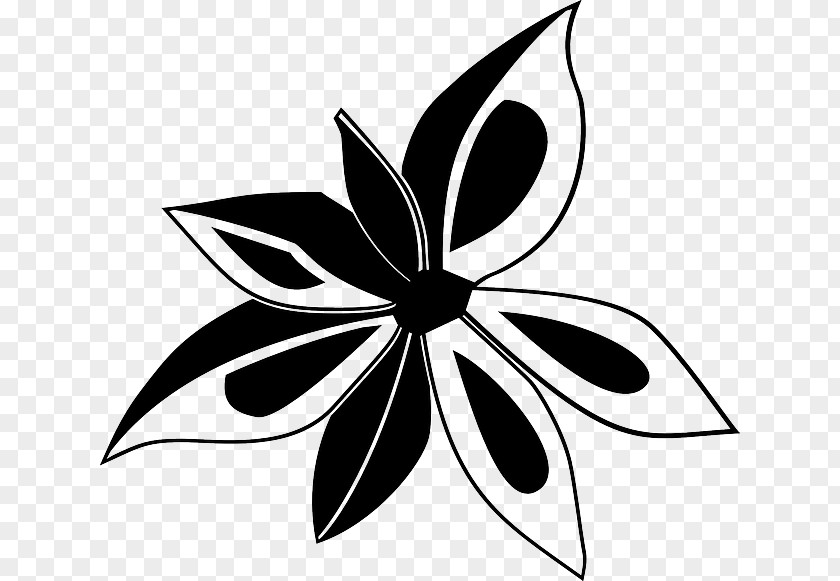Star Anise Clip Art PNG