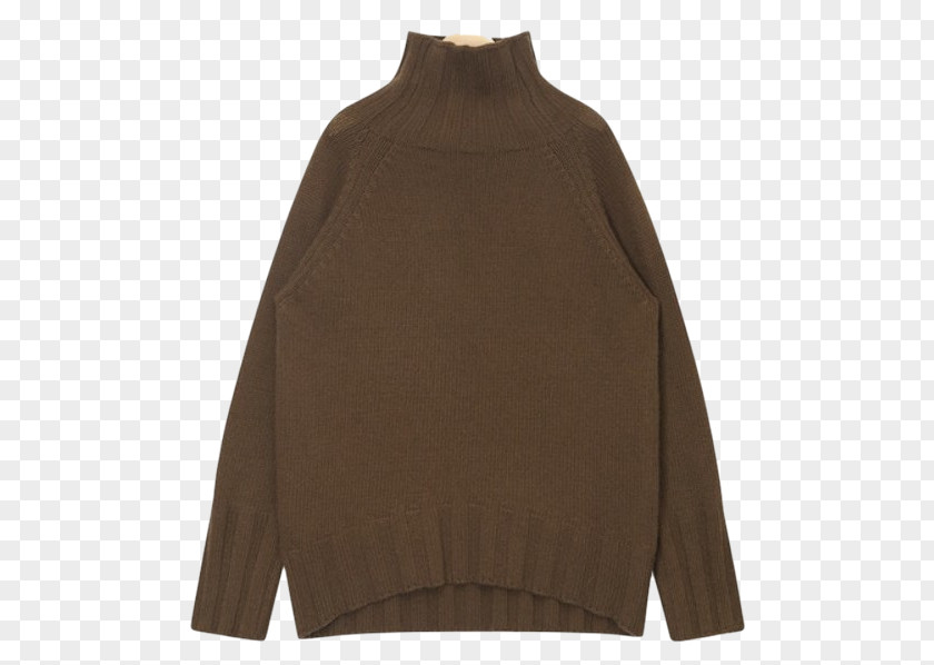 Common Turtle Neck Wool PNG