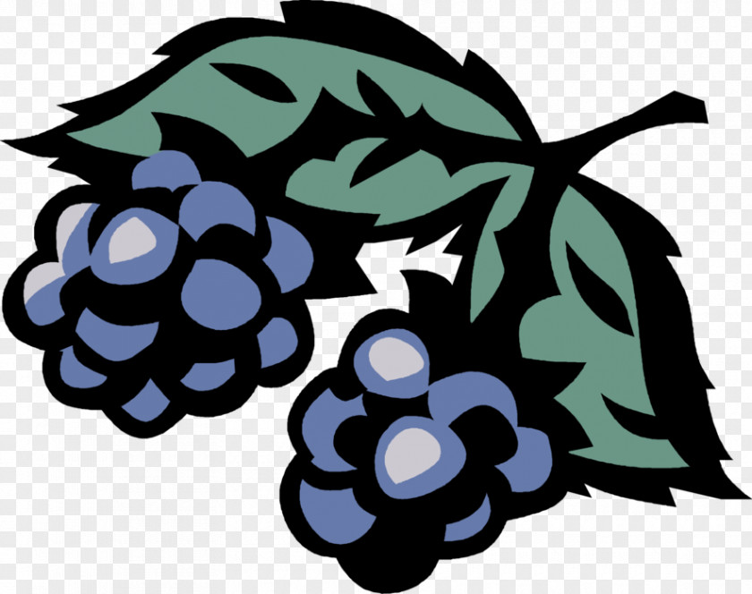 Grape Berries Clip Art Illustration Email PNG