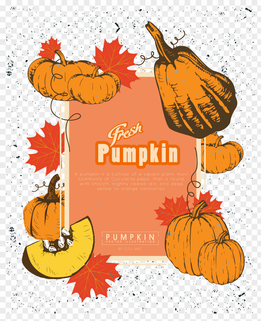 Pumpkin Shading Download Calabaza Jack-o'-lantern Clip Art PNG