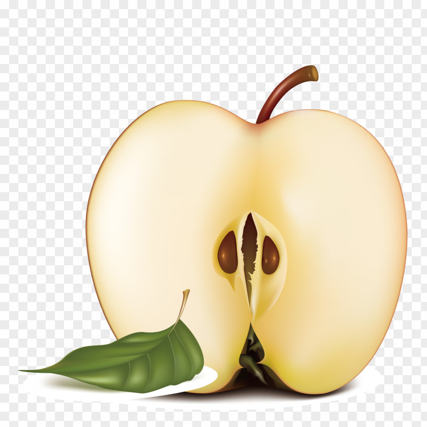 Vector Apple Slices Juice Auglis Illustration PNG