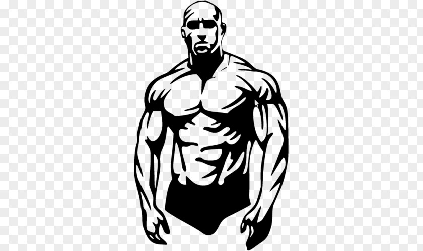 Bodybuilding Fitness Centre Muscle Hypertrophy Clip Art PNG