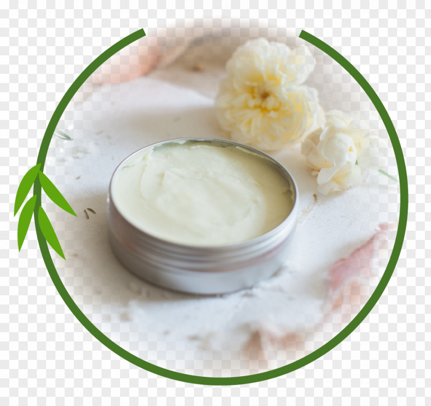 Circle Tree Willow Health Crème Fraîche 12 June Ingredient PNG