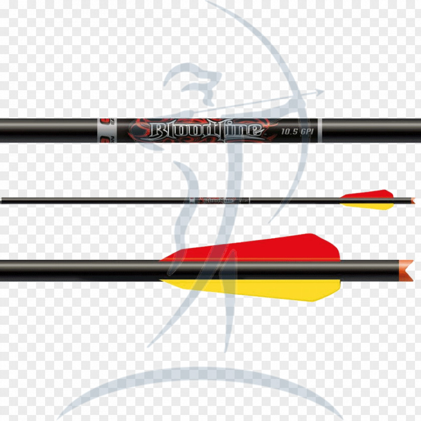 Crossbow Bolt Archery Boogshop Vlissingen PNG