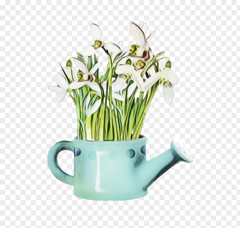 Flower Green Plant Snowdrop Flowerpot PNG