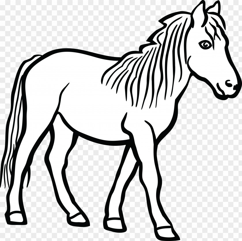 Horse Ausmalbild Line Art Clip PNG