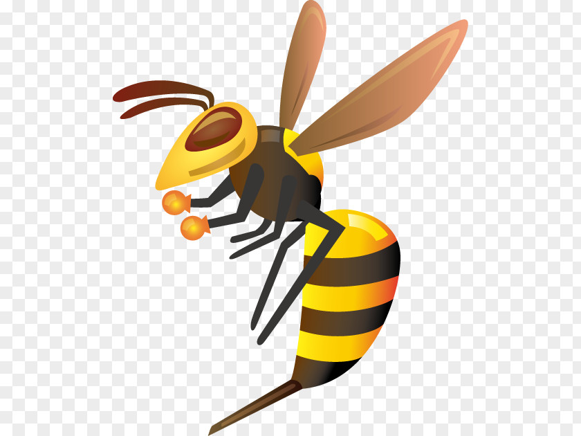 Insect True Wasps Hornet 株式会社 熊本美水 PNG