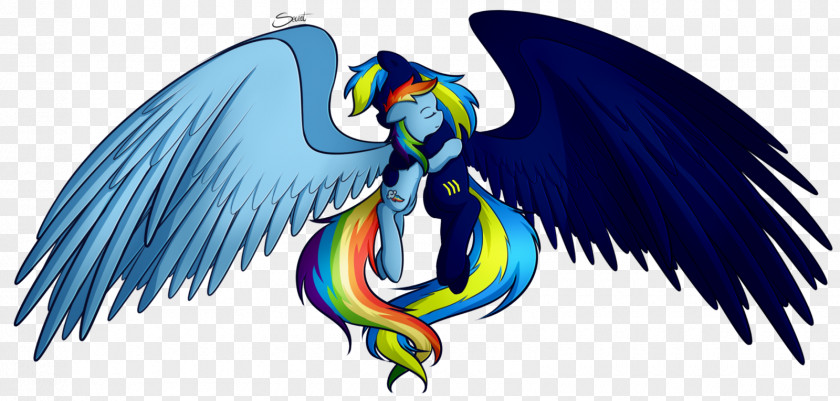 My Little Pony Rainbow Dash Fluttershy Princess Cadance PNG