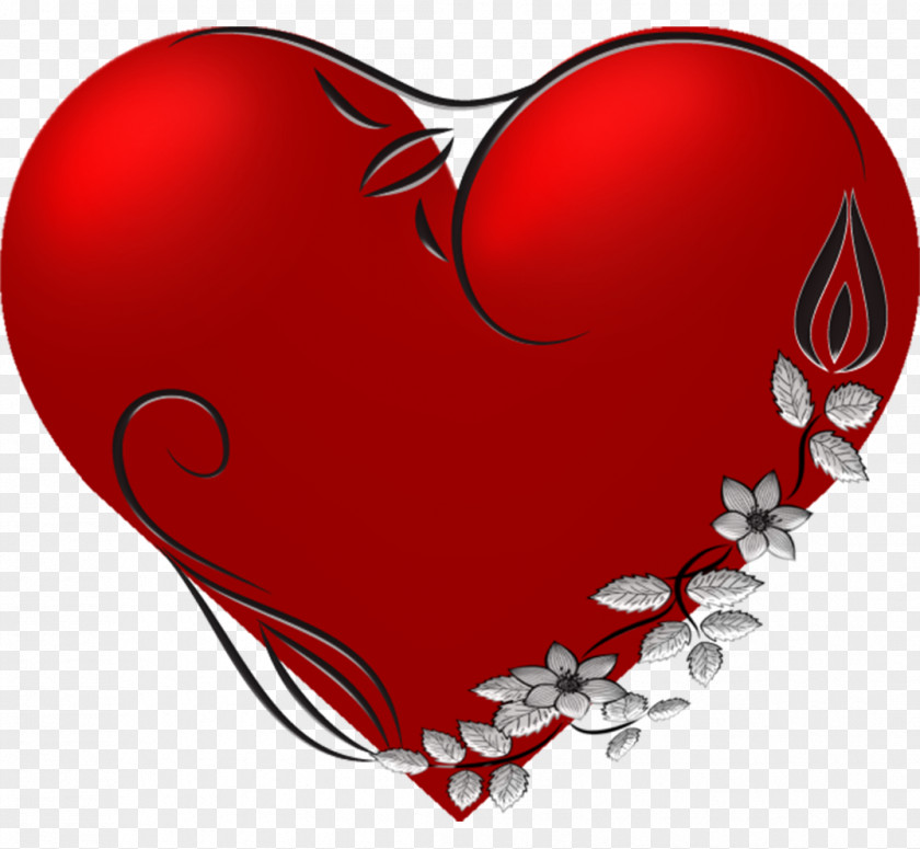 Valentines Day Heart Valentine's Love Vein Artery PNG