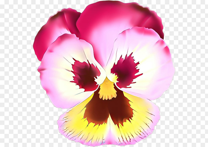 Flower Petal Violet Pansy Plant PNG
