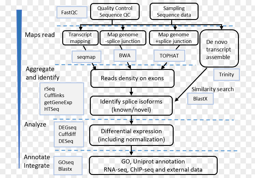 Heatmap Rna-seq RNA-Seq ChIP-sequencing Pipeline PNG