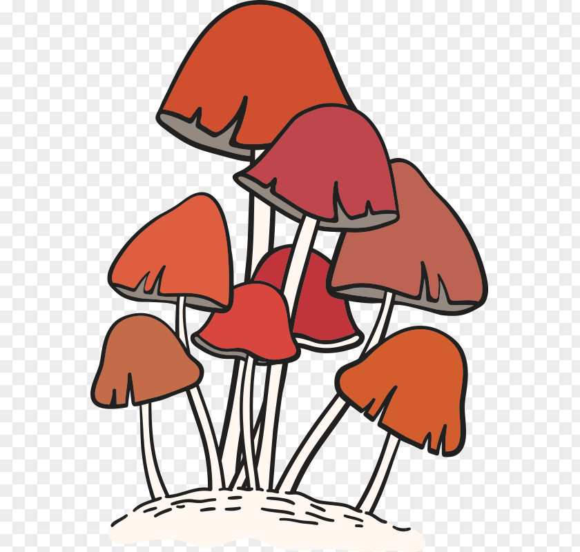 Mushroom,fungus Edible Mushroom Fungus Euclidean Vector Food PNG