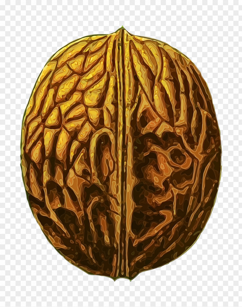 Plant Carving Walnut Tree PNG