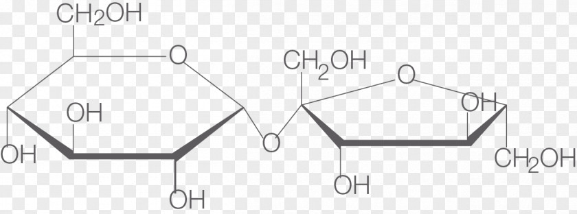 Saccharum Officinarum Sucrose Sugar Molecule Matter Photosynthesis PNG