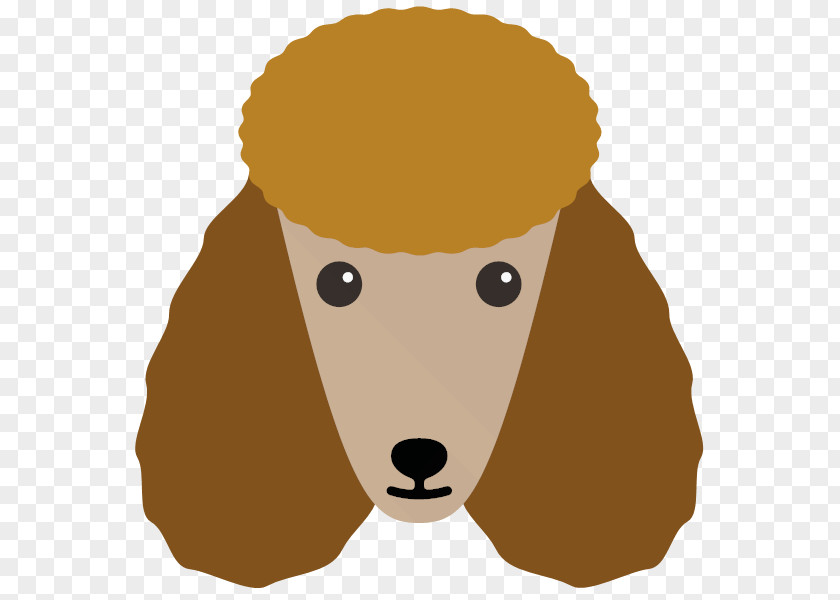 Toy Poodle Fawn Web Design PNG