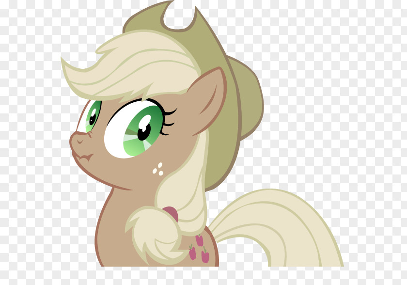 Apple Applejack Pony Rainbow Dash Fluttershy PNG