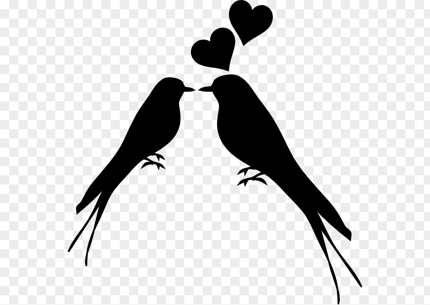 Bird Lovebird Kiss Silhouette Clip Art PNG