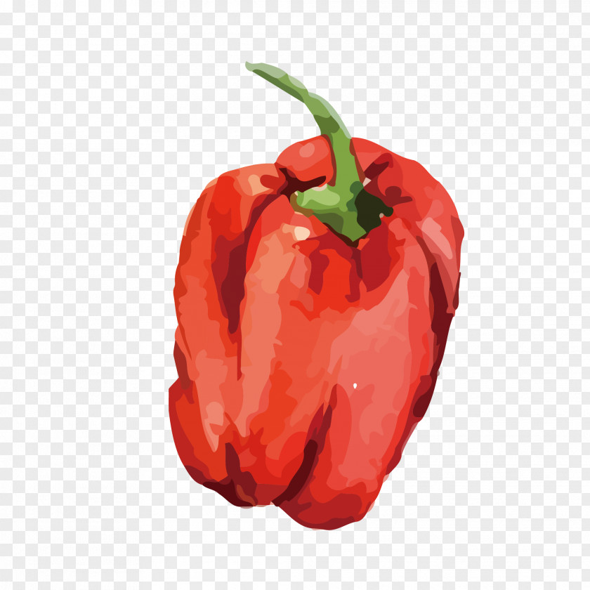 Capsicum Chili Pepper Vegetable Con Carne Food Bell PNG