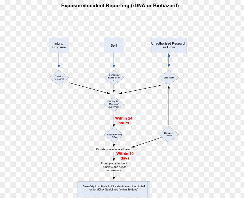Creative Flowchart Incident Report Diagram Template PNG