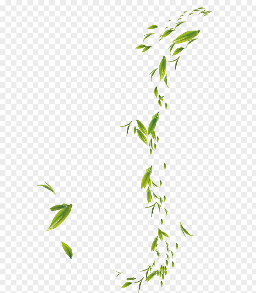Floating Bamboo Adobe Photoshop Battery Charger Leaf PNG