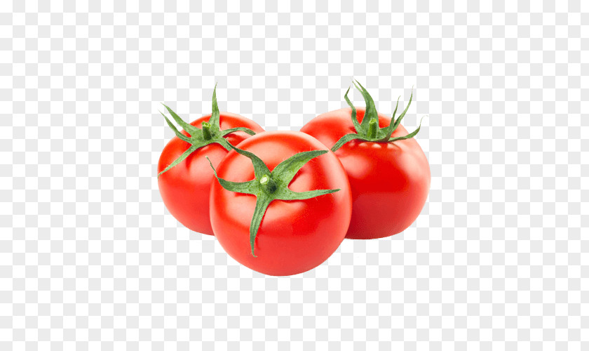 Magazine Roma Tomato Potato Determinate Cultivar Vegetable Fruit PNG