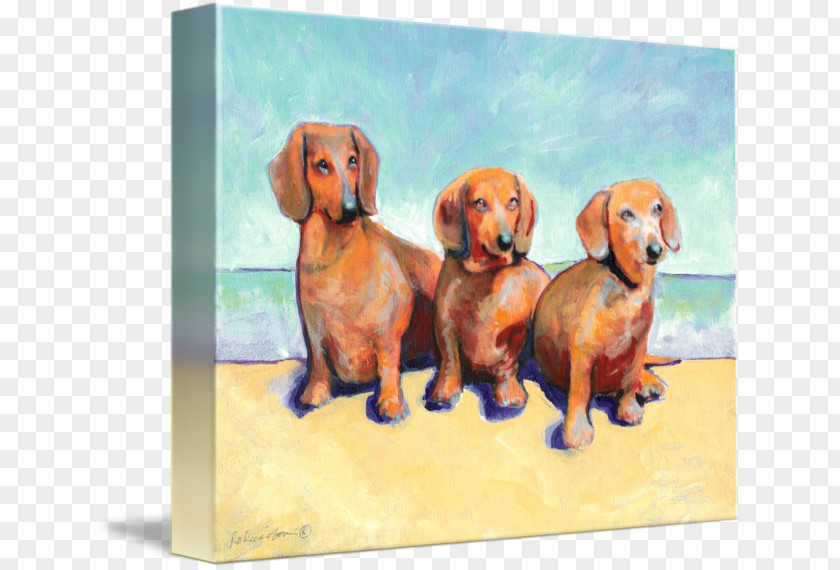 Puppy Dachshund Dog Breed Companion Painting PNG