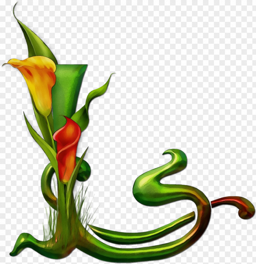 Heliconia Carnivorous Plant Watercolor Flower Background PNG