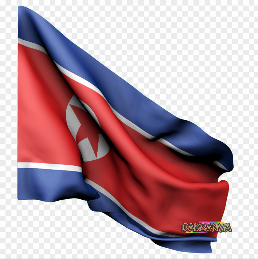 Kim Jong-un Pyongyang Flag Of South Korea North PNG