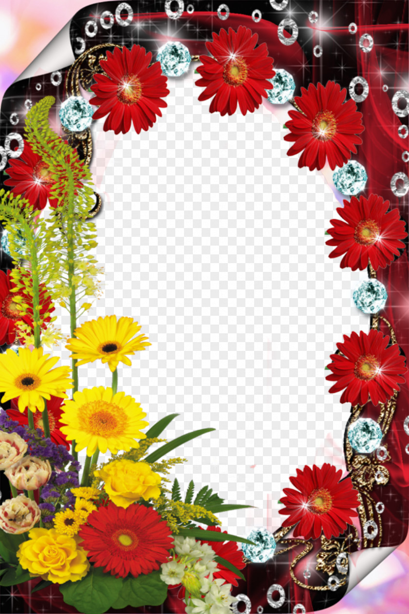 Red Flower Frame File Picture Photography PNG