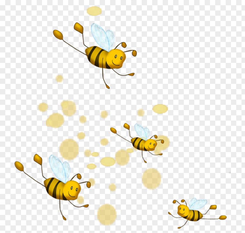 Bee Western Honey Hornet Clip Art PNG