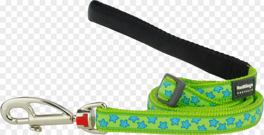 Dog Leash Dingo Green Lime PNG