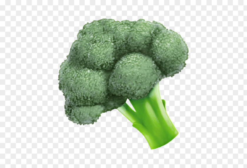 Food Wild Cabbage Vegetables Cartoon PNG