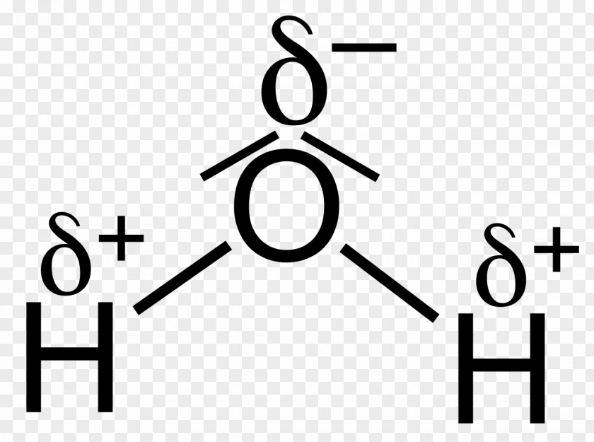 H Chemical Polarity Partial Charge Water Lone Pair Electric PNG