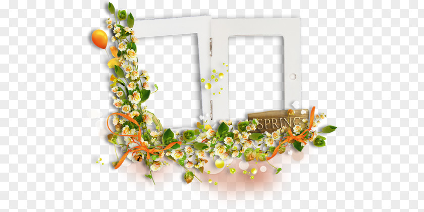 Picture Frames Flower Floral Design Fruit PNG