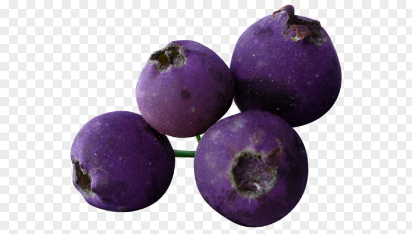 Blueberry Fruit Grape Currant PNG