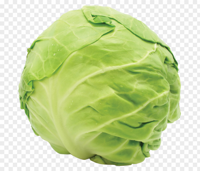 Cabbage Red Organic Food Cauliflower Kale PNG