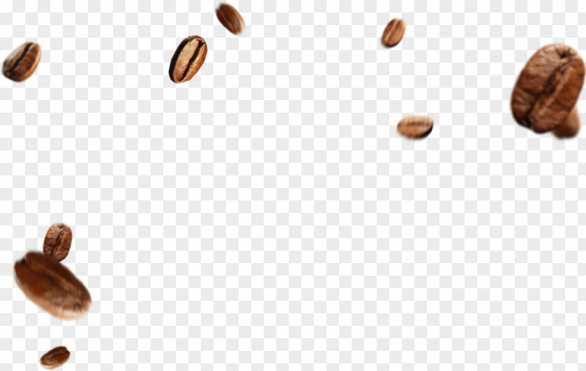 Coffee Beans Shading Bean Cafe Caffè Mocha Roasting PNG