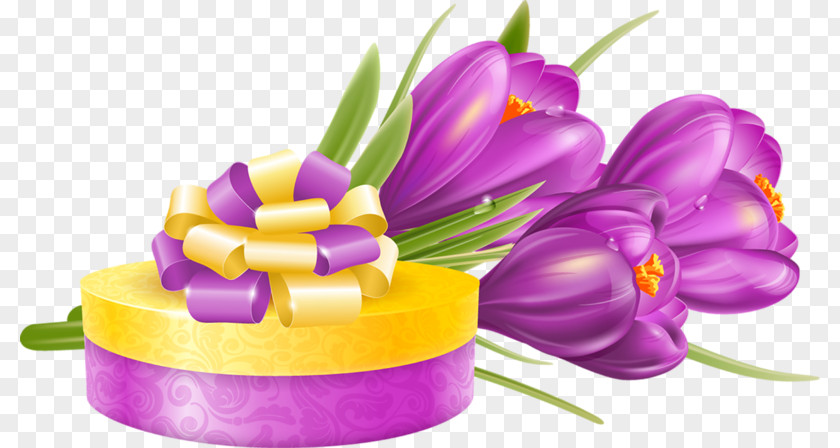 Floral Design PNG