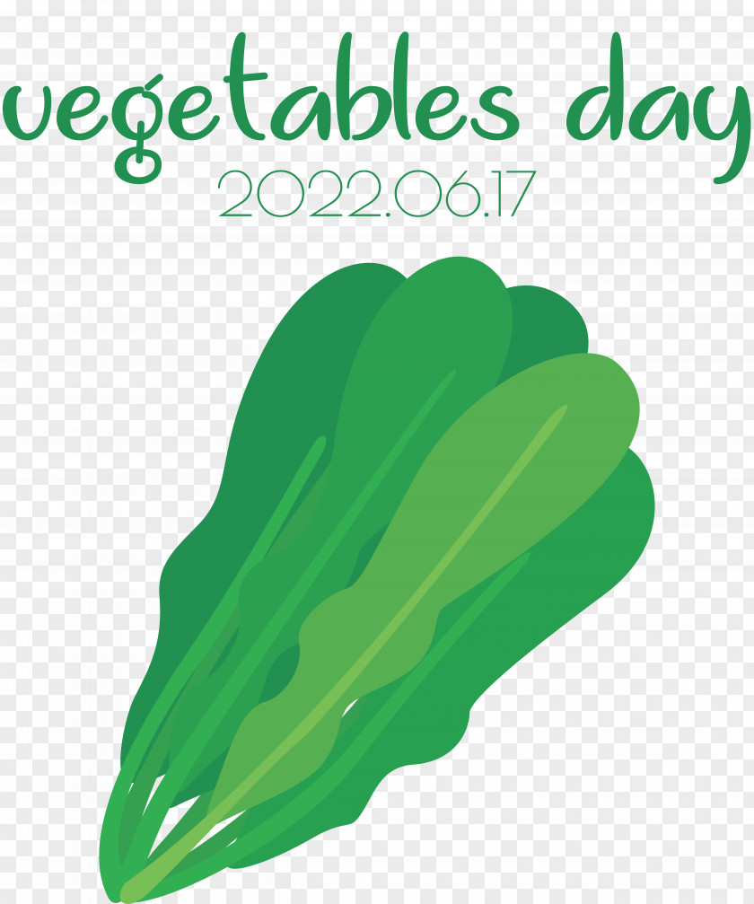 Leaf Vegetable Font Green Line PNG
