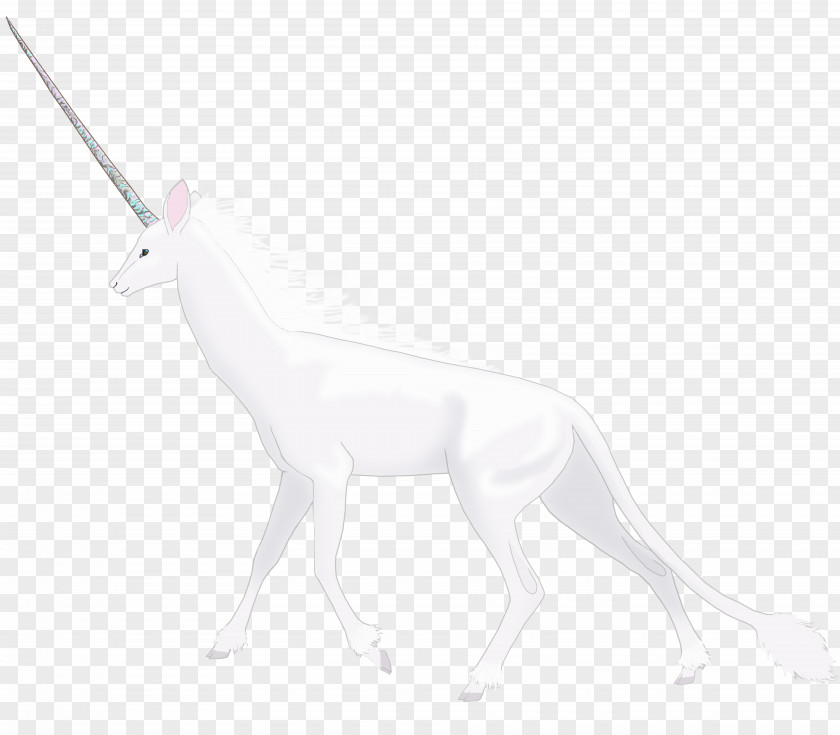 Unicorn Horn Macropodidae Deer White Drawing Mammal PNG